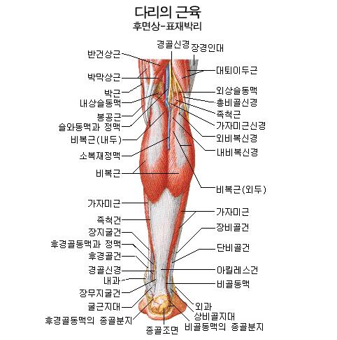 >>19 기만용 글이 아니길.. 내 시간을 낭비 하게 만든게 아니길 바라며 추가 레스를 달자면. 그건 살이 아니라 근육이고, 정말로 저 근육마저