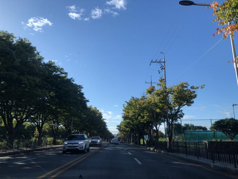 이 정도면 어딘지 모르겠는 사진이군! 나무 보면 알겠지만 최근 사진은 아님 분위기 전환 겸 사진!
