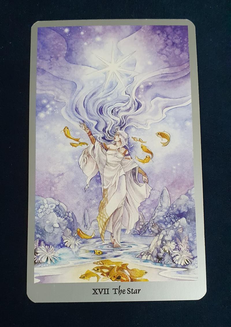 >>6 그렇게 크게 싫거나 좋은 감흥을 가질 것 같지 않은걸. 그보다는 얘가 왜 이러지? 라는 생각을 좀 더 할 거 같기도 하고... 어떻게 반
