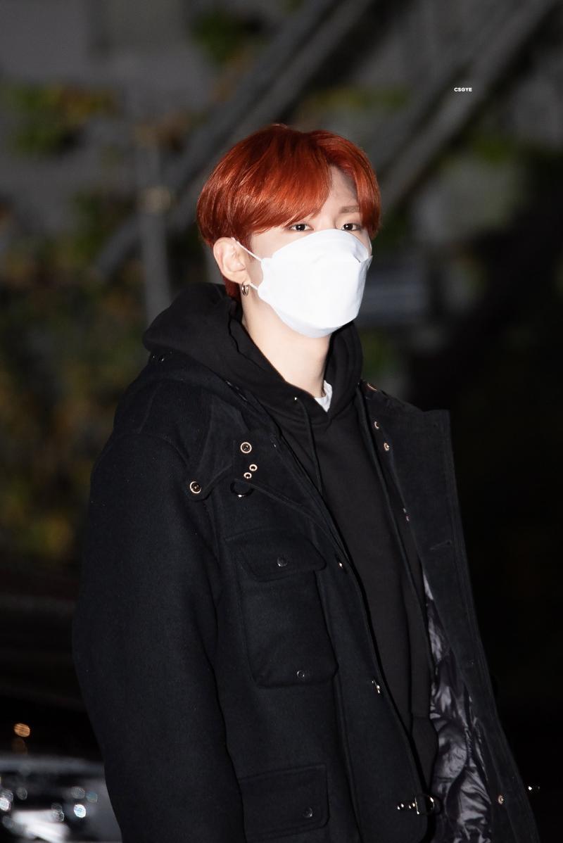 어이구ㅜㅜㅜㅜ머리색이쁨거봐ㅠㅜㅜ 아기햄스터여우상어..