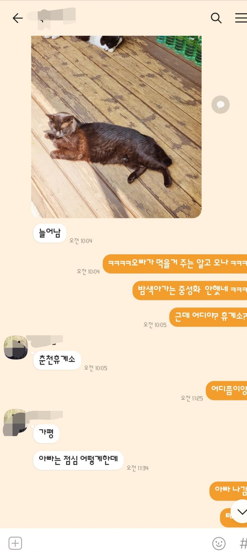 여기 전에 오빠랑 카톡한 증거다 이름은 당근 가림
