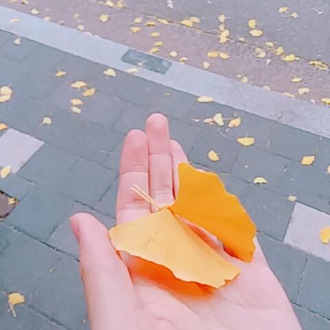 오늘부터 딱 1레스 씩만 쓰면 수능 당일에 100레스겠다 와 공기 개건조해서 숨 쉴 때마다 목구멍에 사막화 일어나고 있음 죽을 맛이다 진짜 수건
