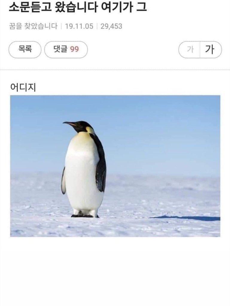 어디지