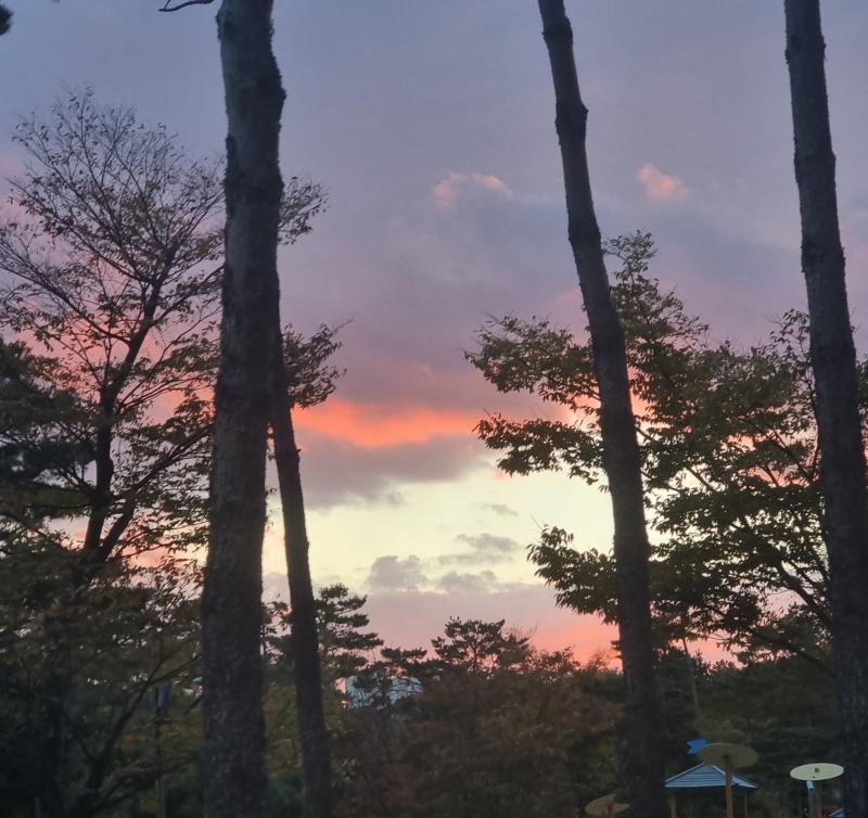 학원 갈려고 급하게 가다가 하늘 봤는데 너무 예뻐서 깜짝 놀랐잖아