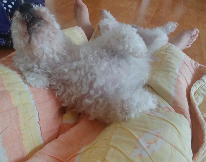 합체:3