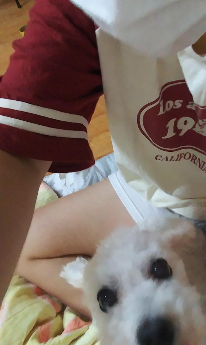 합체:3