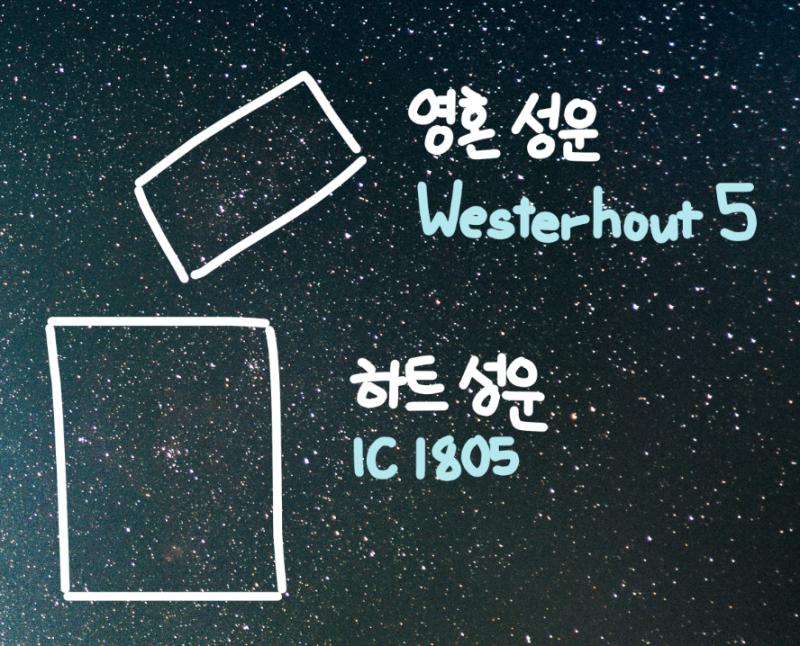 (세 사진 모두 같은 사진이야!) NGC 869, NGC 884 / 이중성단 이중성단은 >>254에서 이미 말했으니 넘어가고! IC 1805 /