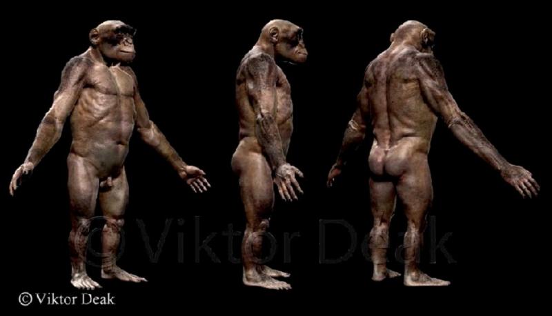 >>64 일단 진화는 포켓몬마냥 1단계, 2단계, 3단계... 식으로 진행되지 않는다. 그리고 인간은 원숭이에서 진화하지 않았음. 원숭이와 인간