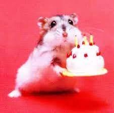 케이크 받어 🎂