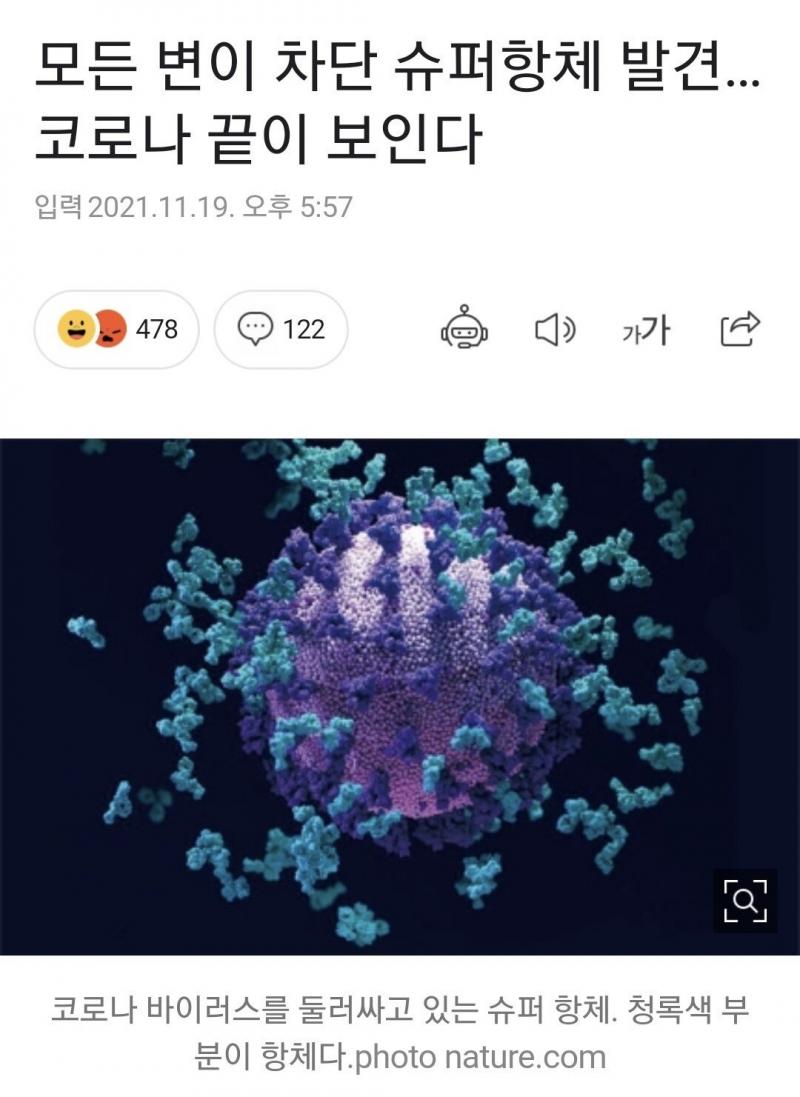이거 진짜일까?