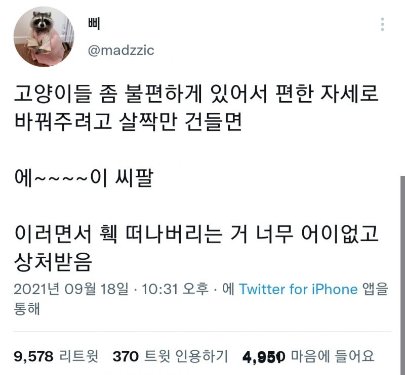 아 진짜 너무 웃김 ㅠ 고양이 안 키우는데도 뒤집어짐