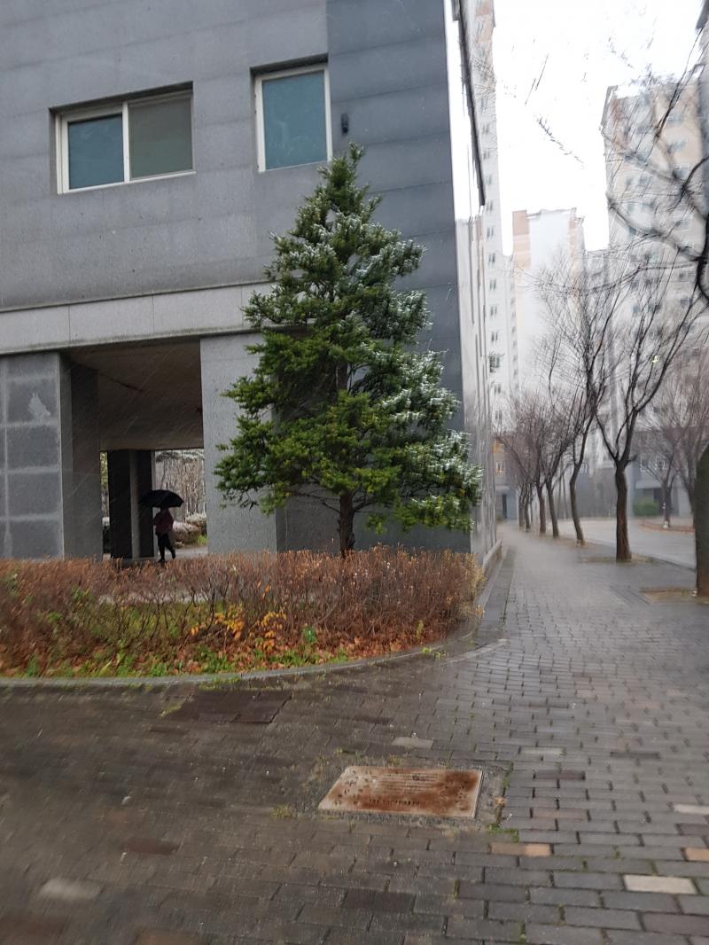 크리스마스 같다