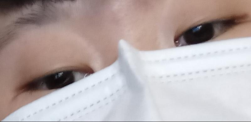 무쌍으로만 살았는데 점점 속쌍으로 진화중