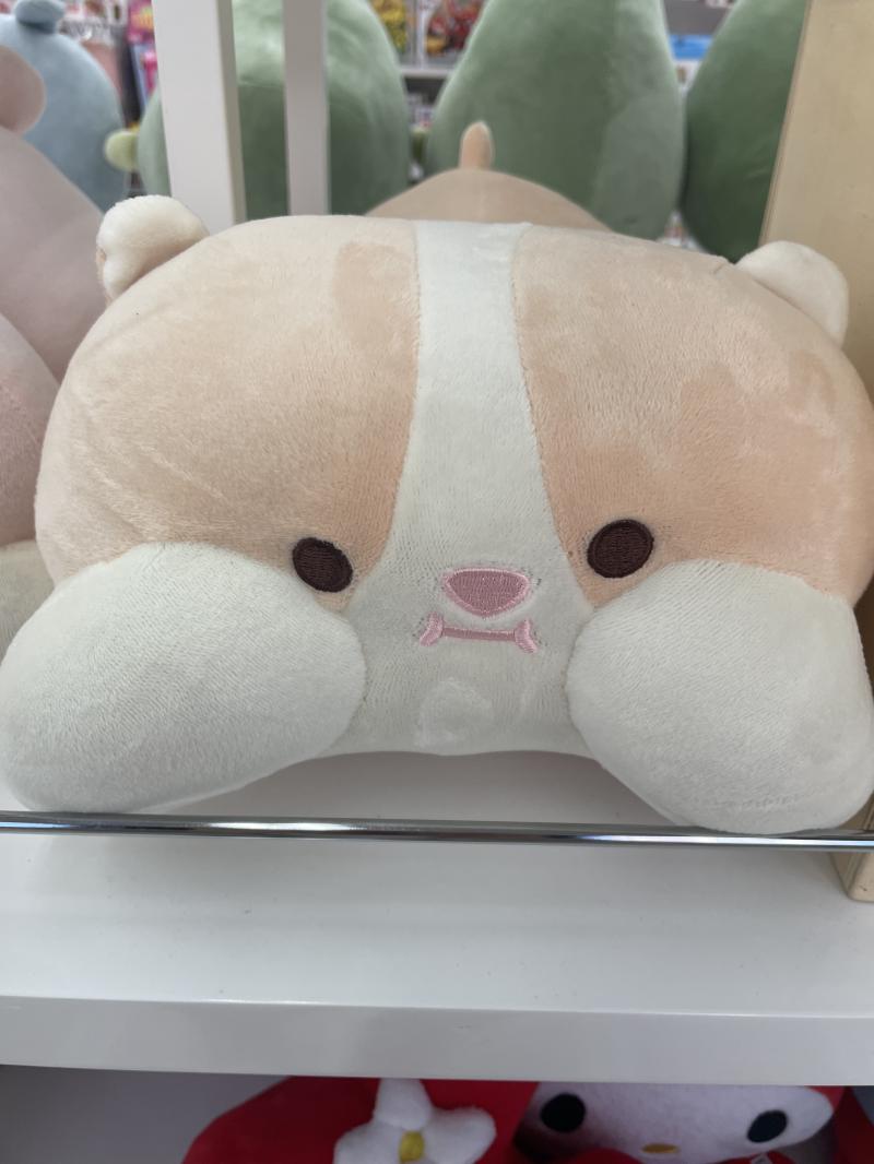 햄찌