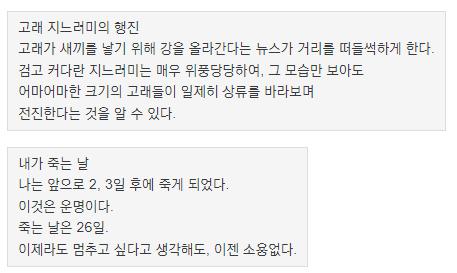 받은 메시지함을 구경하는데 '마-쨩'이나 '슌', '엄마', '아빠' 같은 이름들이 적혀있었다. (마-쨩은 스레주가 했던 모바일 게임에 나오는