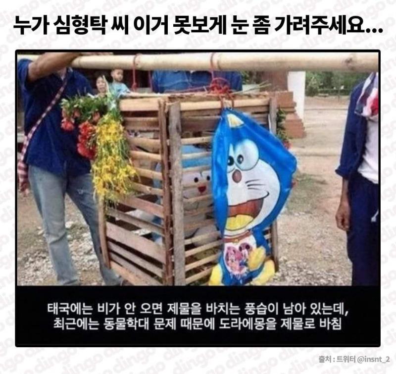 고양이는 없는데....에몽이라도...