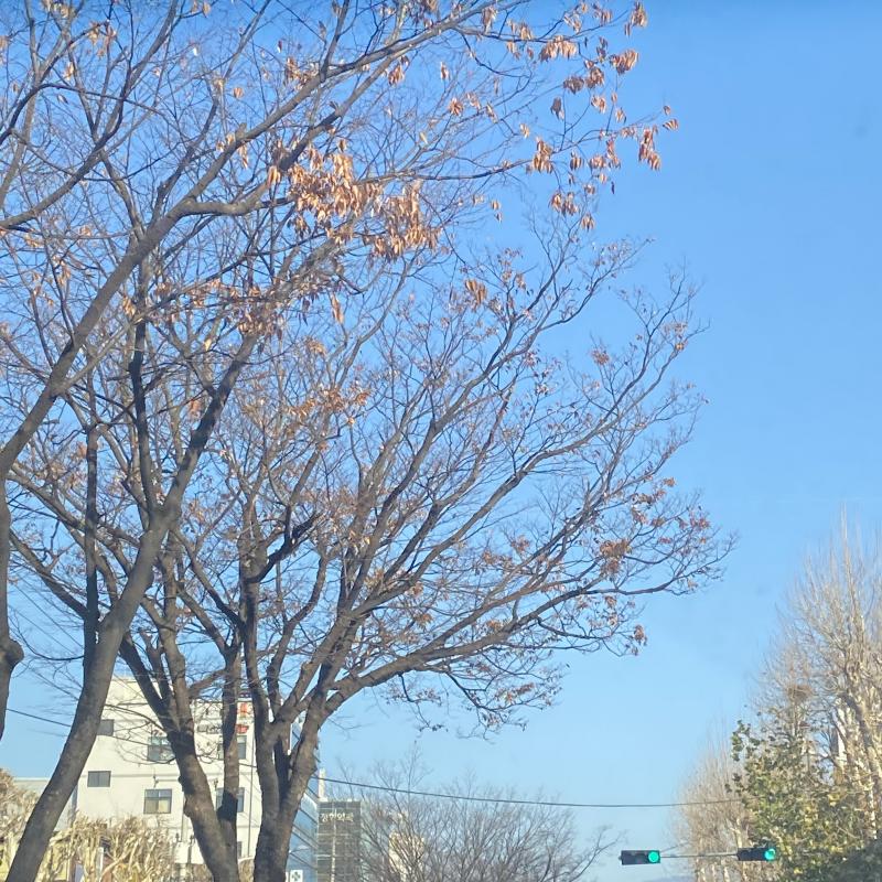 조금 떨린다 ㅋㄱㅋㄱㅋㄲㅋㄱㅋ