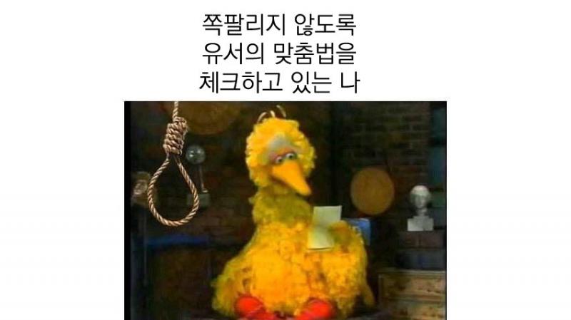 나도 아끼는 짤