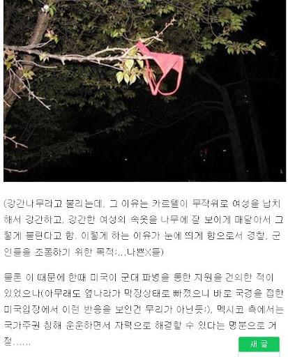 이거 보고 그 멕시코 마약 갱단들이 해둔다는 이 강간나무 생각남