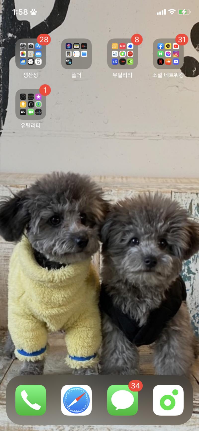 >>4 잌ㅋㅋㅋ 뱅도리 앙별 다 보이네.. 나같다. 난 우리 집 강아지랑 걔 형 참고로 형이 오른쪽 ㅋㅋㅋㅋ