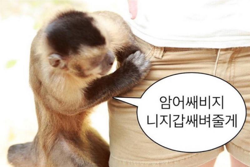 ㅋㅋ.