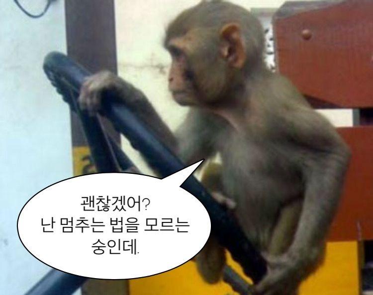 나도 최근들어 빠져버렸어