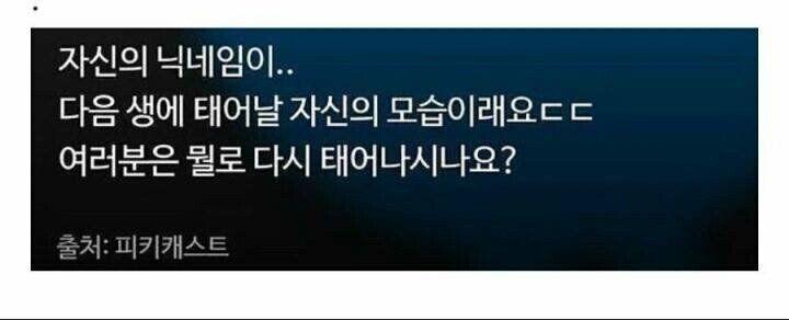 지금 바로 사진을 펼쳐 보시오 인민들이여!