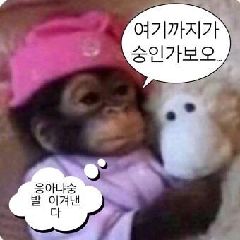 숭쩔숭쩔요