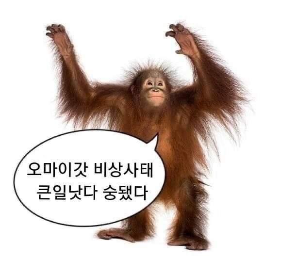 숭쩔숭쩔요