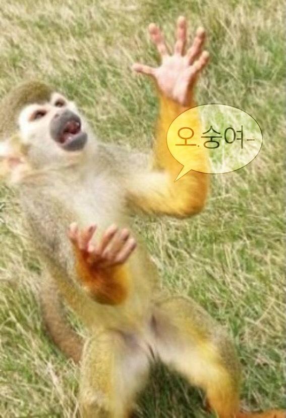 오 숭이시여....!