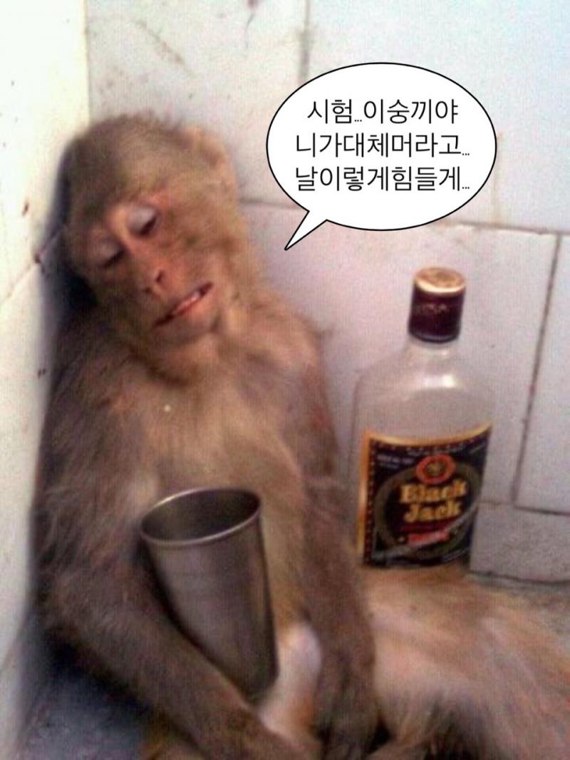시험이 뭐길래 날 이렇게 힘들게하숭.....