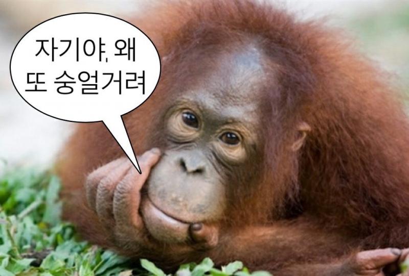 >>49 나 불럿숭?