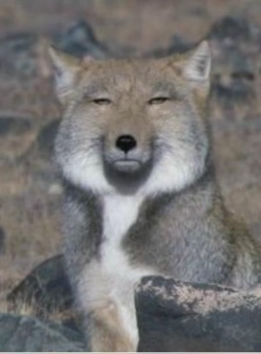 ?