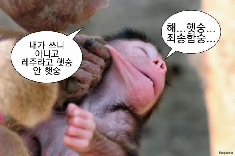 내가 만들엇숭