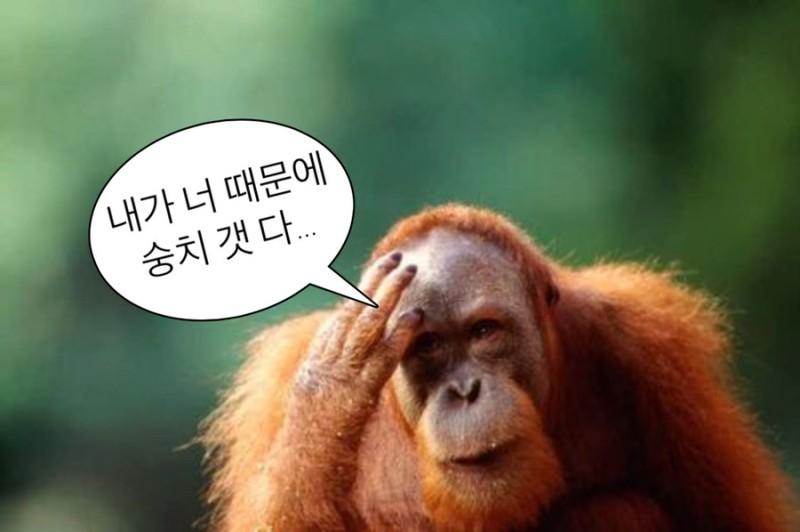 >>55 숭치갯다