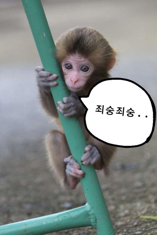 내가 만들었숭