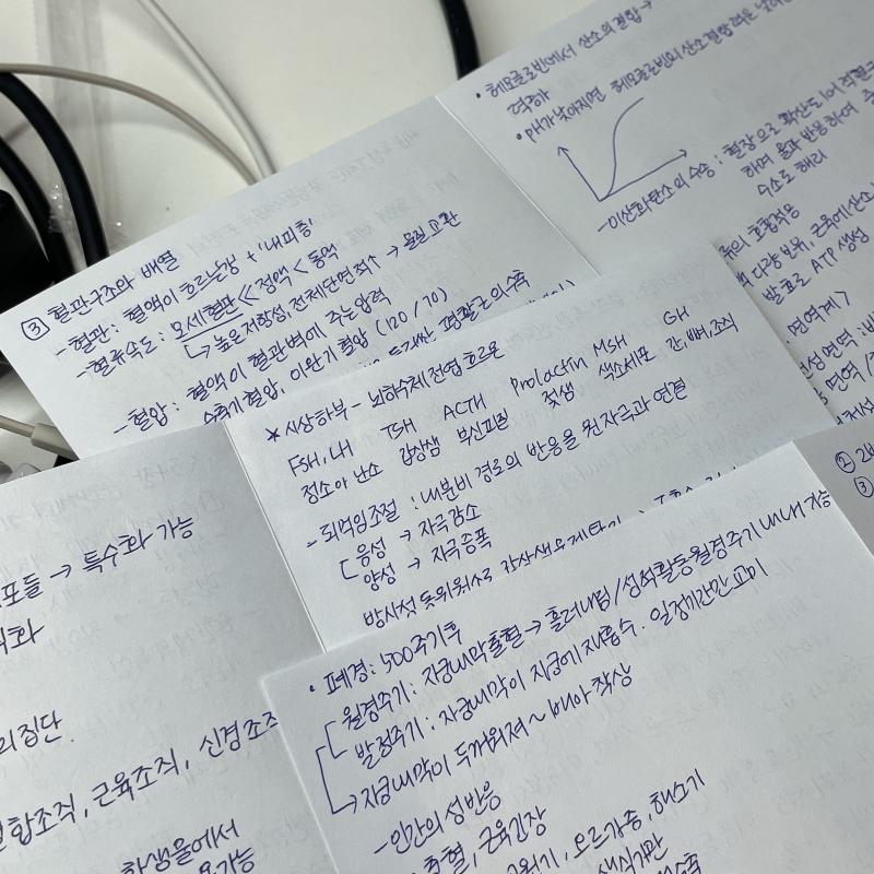 앞으로 시험공부는 미리미리 하는 걸로… 깜지 쓰면서 공부하니까 ㄹㅇ 손목이 아작나는 것 같아 으어아 4시간만 버티자…
