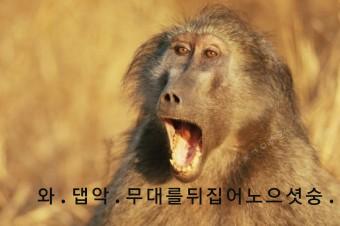 내가 만들었숭