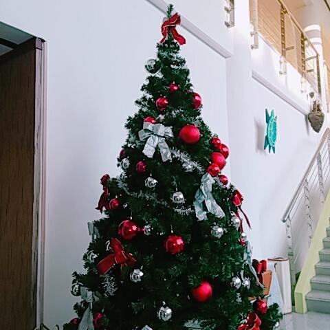 우리 학교 크리스마스 트리 마지막 사진 블러 때문에 오너먼트의 빤딱임이 사라졌지만 폰 들고 있는 내 실루엣이 너무 잘 보여서 어쩔 수 없었음