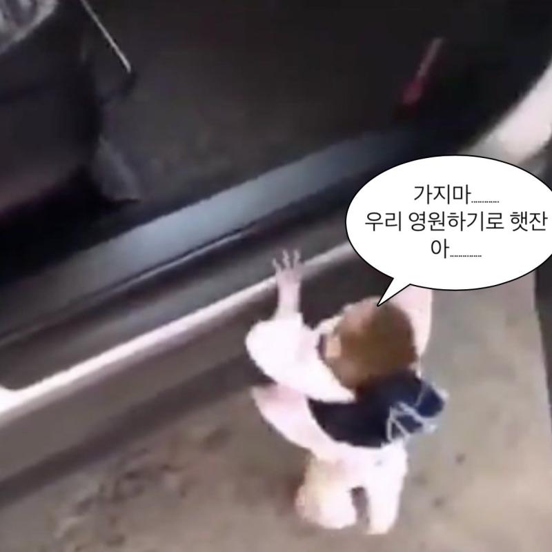 다들 어디갓숭....