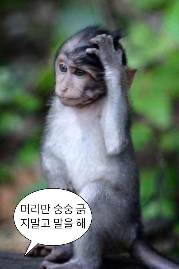 ㅇㅔ잇