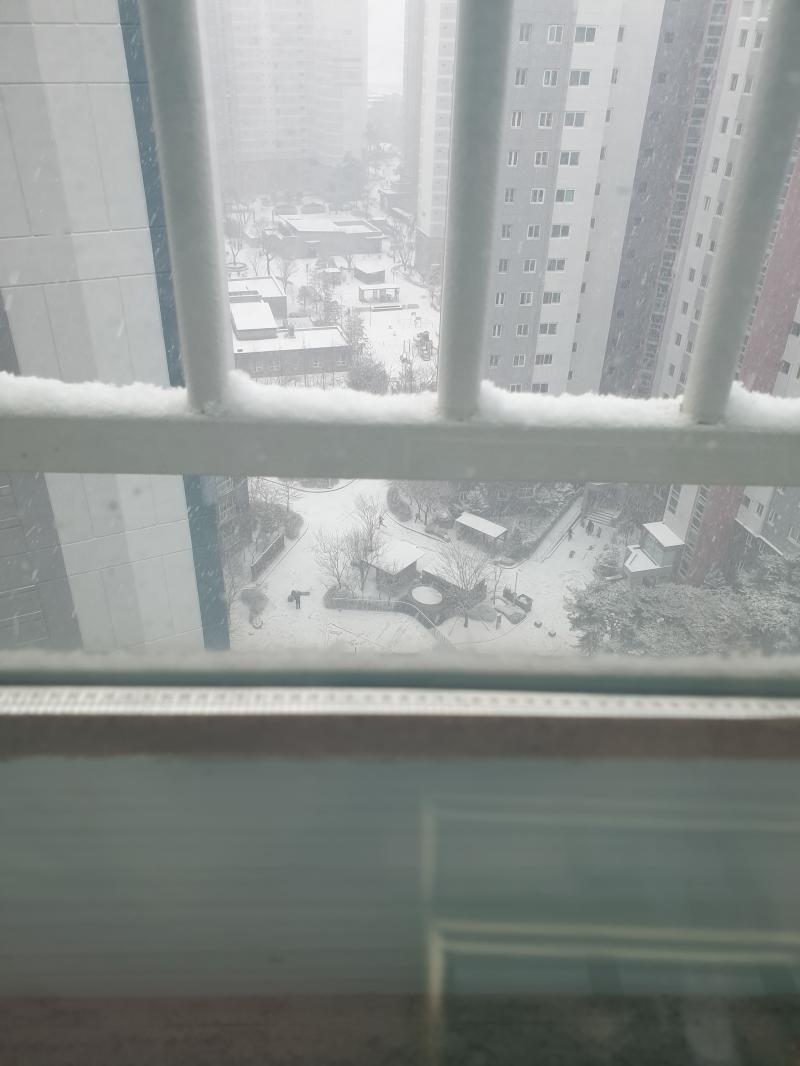 조카네에서 보는 풍경 일부... 두 번째 사진 저 점들 같이 생긴 게 눈들...