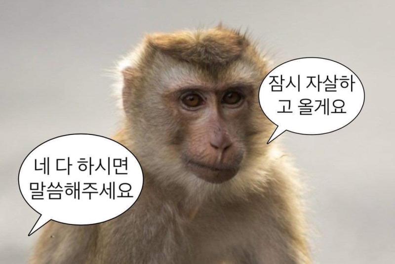 스레딕은 사진 3장 이상씩 올릴 수 잇도록 분발하라!!!!
