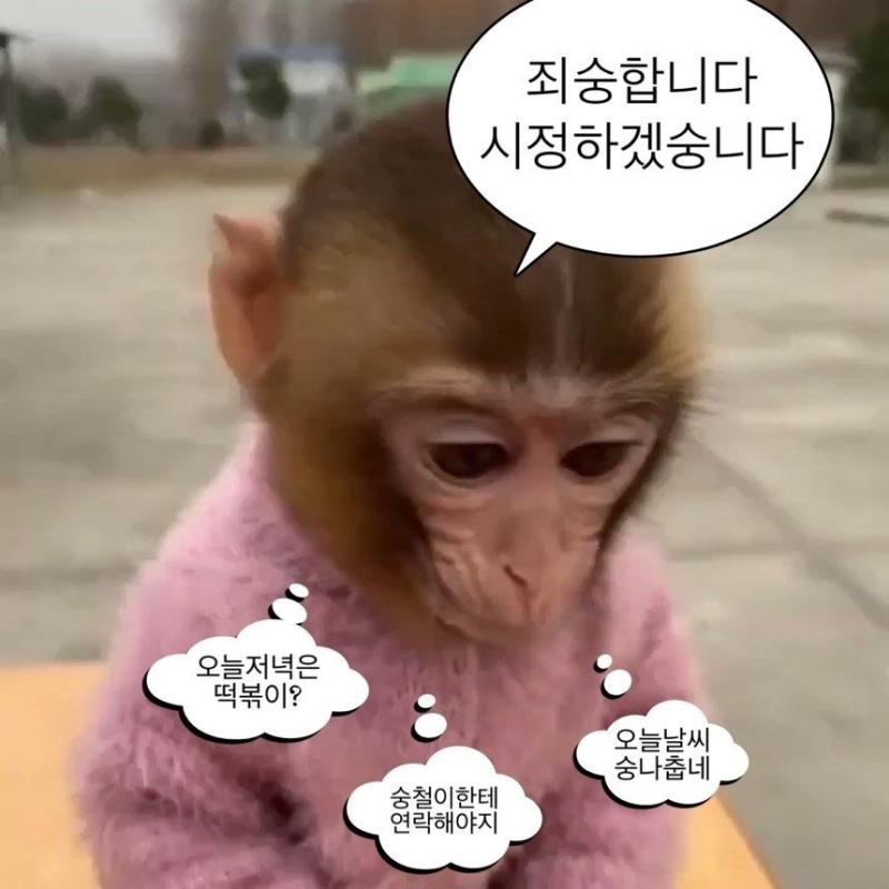 ㅇㅔ잇