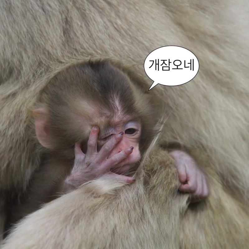 어디서 그렇게 숭한 짤들을 숭숭 주워오는 거야!!!!ㅋㅋㅋㅋ