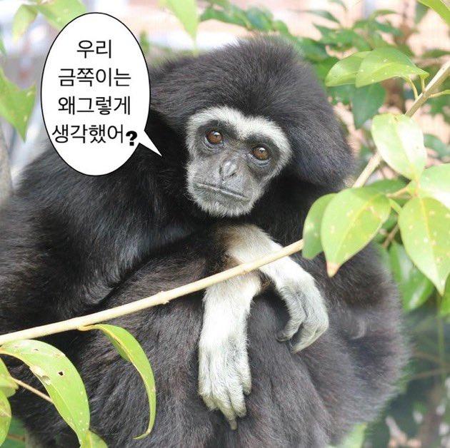 어디서 그렇게 숭한 짤들을 숭숭 주워오는 거야!!!!ㅋㅋㅋㅋ
