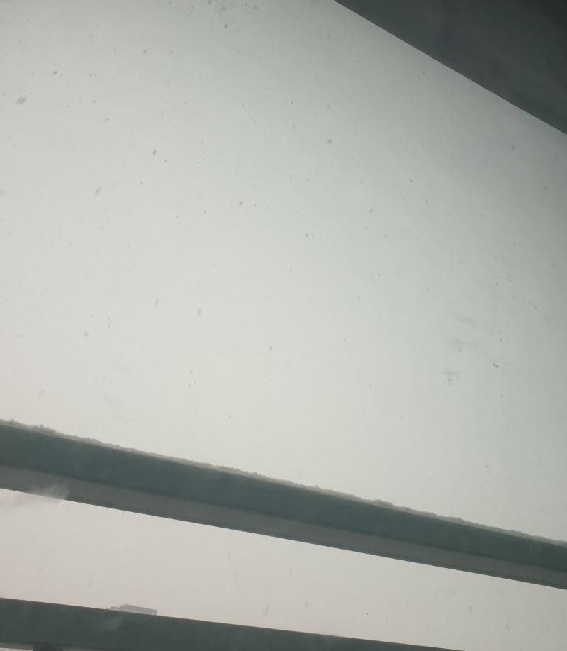 조카네에서 보는 풍경 일부... 두 번째 사진 저 점들 같이 생긴 게 눈들...