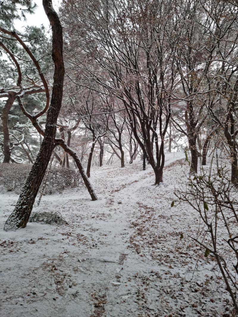 뭔가 간접조명 있으면 더 이쁠거 같은 길