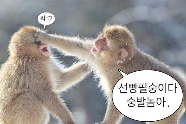ㅇㅔ잇