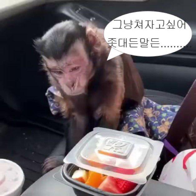 어디서 그렇게 숭한 짤들을 숭숭 주워오는 거야!!!!ㅋㅋㅋㅋ